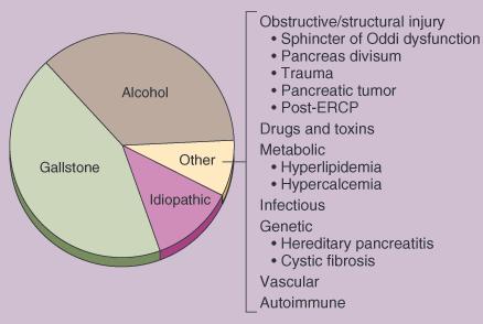 2013 gastroenterology Winter School 31 CT Diagnosis Exclusion of other surgical abdomen Severity of