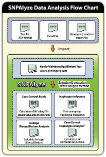 소프트웨어 SNP 분석소프트웨어 SNPAlyze Ver 7.0 SNPAlyze Standard Ver 7.0 DYN DN002 1 user 가격문의 SNPAlyze Pro Ver 7.0 DYN DN003 1 user 가격문의 제품설명 SNPAlyze 는방대한유전자다형성데이터에서보다유용한정보를추출하는데이터마이닝용소프트웨어이다.
