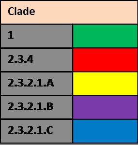 nhanh spread chóng throughout trên phạm the vi country cả nước Nhánh Dominance 1 tiếp tục of clade chiếm 1 ưu continued thế Sự Incursion xâm nhập of của clade nhánh 2.3.