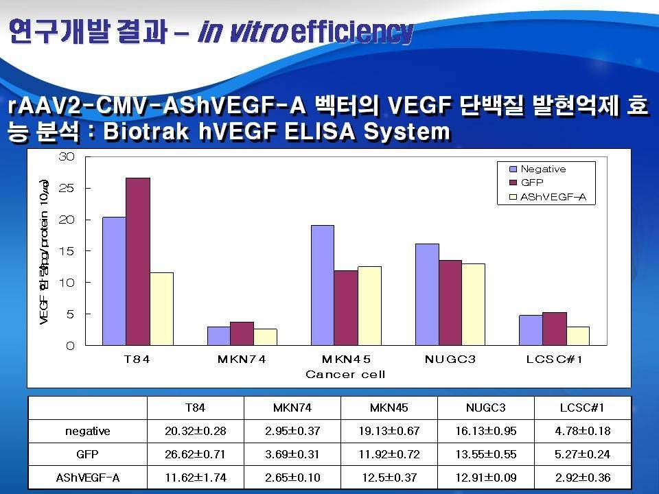 ( 그림 55) In vitro efficacy of raav2-cmv-ashvegf-a vectors by suppression of hvegf-a protein expressions In vitro efficacy 효능을 VEGF 단백질발현양이높은조건에서연구하기위해다양한인간유래암세포주의 VEGF 단백질발현양을 ELISA 방법으로분석하였음.