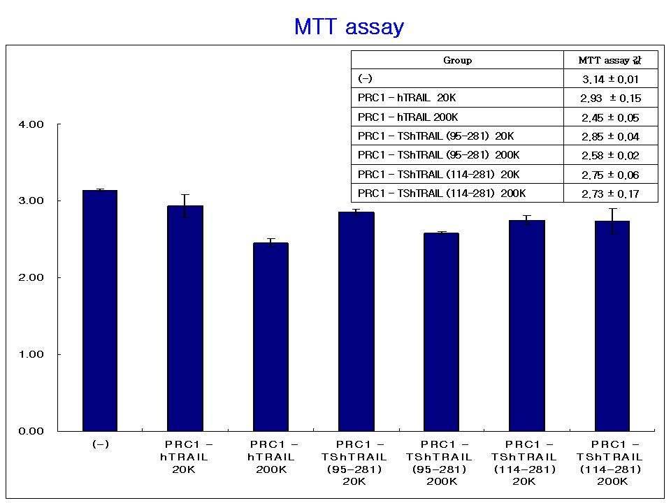 다른두종류의 truncated soluble TRAIL 은모두약한효과만을 MTT assay 결과확인하였음 ( 그림 62).