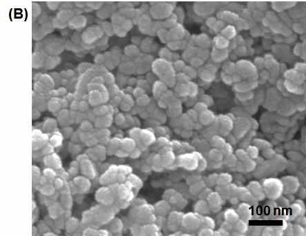 20 nm, Positive Charged ZnO Nanoparticles FIGURE 2