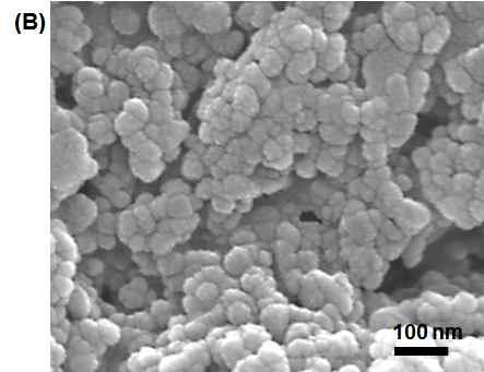 Nanoparticles FIGURE 2 Hydrodynamic Size of 20 nm, Negative Charged ZnO