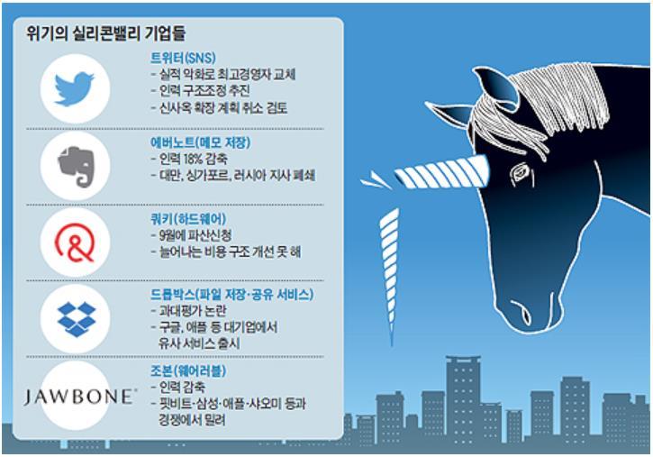퀴키의실패 (2015 년 9 월 ) 조선일보