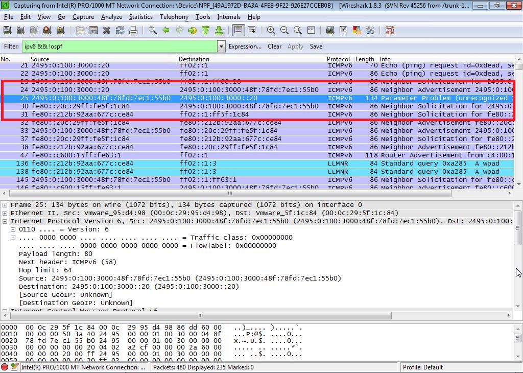 ICMPv6 Echo Request 를이용한스캐닝 목적지 IP FF02::1 로 ICMPv6 Echo Request 전송시 RFC 2463 에의해응답은 Parameter problem ICMP message 가됨