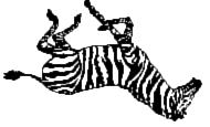 Zebra Programming