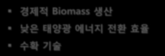 Biomass 생산