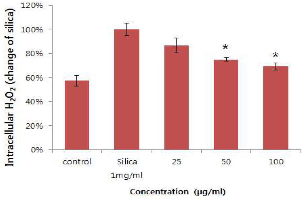 항산화및미백화장품원료로서의땅콩새싹추출물에관한연구 17 Fig. 3. Effect of peanut sprout extract on intracellular free radical generation in RAW 264.7 cells. Results are means±sd from 4 separate experiments. *p<0.