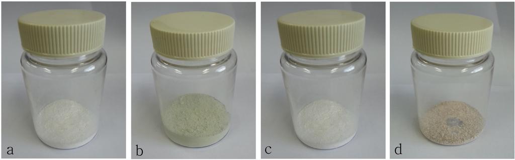 용출액의종류에따른 Alum, PAC, FeSO 4 응집슬러지및반송슬러지회분에서인회수능비교 135 Fig. 1. Phosphorus precipitated sludge and return sludge ash (a. Alum, b. FeSO 4, c. PAC, d. sewage sludge ash).