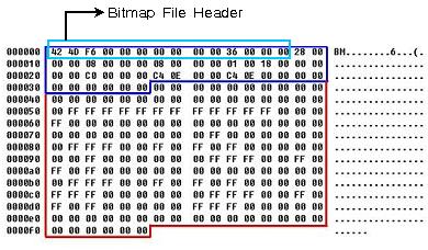 BMP 파일예제 (1) 비트맵파일의내부값