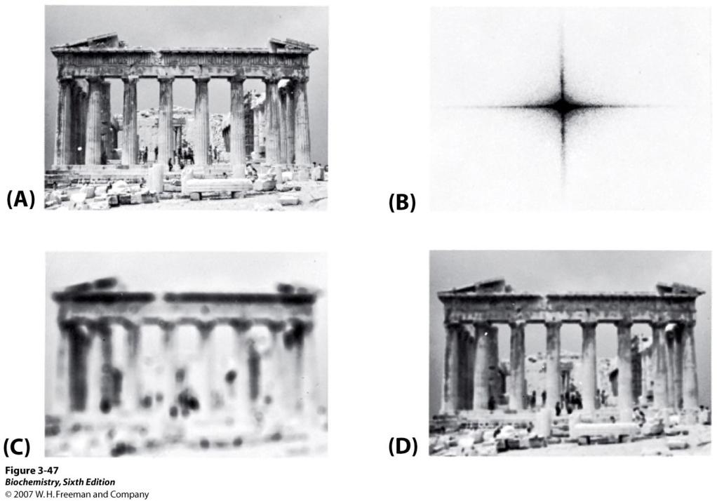 radiation - Detector: Detect the scattered beam.