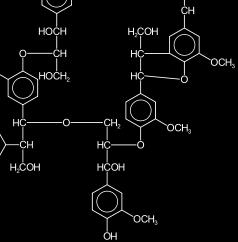 가. 효소에의한리그닌의분해과정 phenylpropane 단위의분해 1 탈메톡실화 (demethoxylation) 2 α 자리탄소의산화 (carbonyl 화, C=O) 3 측쇄구조의절단 4 β-o-4(β-arylether 결합 ) 결합의절단 5 방향환의개환 나.