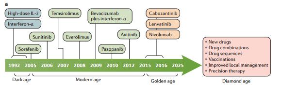 [ 그림 2] 전이성신세포암치료제의 4단계발전과정 3) Dark age (2005년이전 ): High-dose Interlukin-2, Interferon-α 이주로사용하며, 중앙생존값은 ~15개월 Modern age(2005-2014): 7가지약제가추가로사용하며, 중앙생존값은 ~30개월로증가 Golden age(2015-2025): 3가지약제가추가로사용