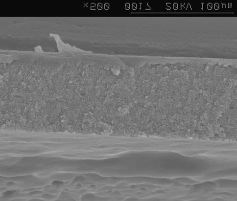 하지만 24시간 동안 용출 액 내에서 교반한 후의 반투막은 Figure 3과 4의(c) 및 (d)에 나와 있는 것처럼 표면에 많은 다공을 포함하고 있는 것을 볼 수 있다.