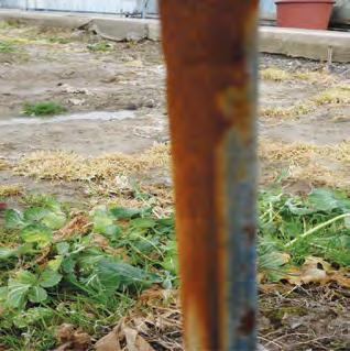 The existing galvanized pipe spreads the red rust faster 3 times to the galvalume pipe. A B 갈바륨파이프 우수한품질특성으로일본은 1999 년부터농업용파이프생산량의 70% 이상이기존아연도금파이프에서갈바륨파이프로대체되었습니다.