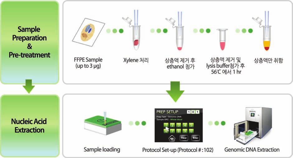 4.3 ExiProgen 을이용한 paraffin embedding sample 에서의 genomic DNA 추출 ExiProgen Tissue Genomic DNA kit 를사용하여조직검사를위한 FFPE sample 에서 genomic DNA 를추출할수있습니다.