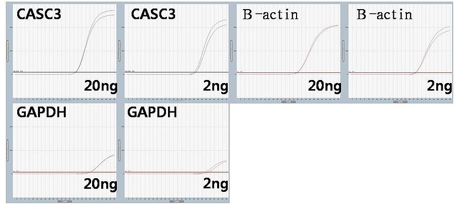 Products A-5041 ExiProgen K-4312 ExiProgen Tissue Genomic DNA Kit, 96 preps KB-0111 Proteinase K Powder, 25 mg x 2 ea D-1030 AccuLadder 100 bp DNA Ladder, 250 μl (135 ng/μl) D-1040