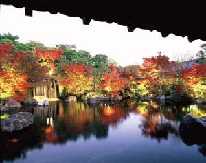 借姬路城为远景而造的地道日式庭园 9 种不同风格的庭园, 再现了江户时代的历史性景观 히메지성을배경으로한본격적인일본정원입니다.