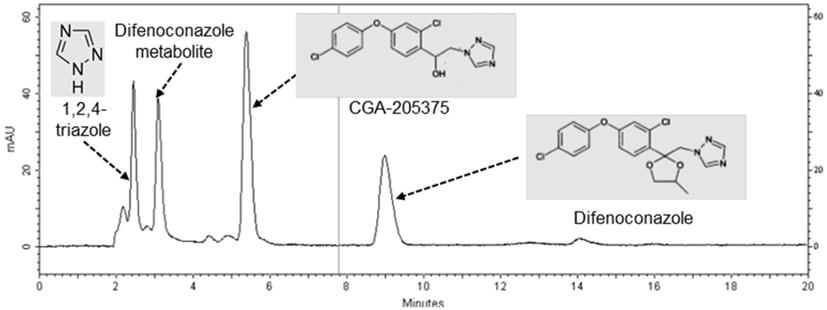 살균제디페노코나졸분해세균분리및특성분석 351 C8-2 균주의디페노코나졸분해특성을구명하기위하여 nutrient agar (Oxoid, USA) 배지에 28 o C로 5일간배양후디페노코나졸 100 mg/l가포함된최소배지에흡광도 (OD 600 ) 가 0.1이되도록접종하였다.