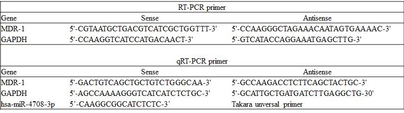 TTTCACAGGCAGTTTGGACAAG를이용하여 95, 5min, 9 5, 30sec - 56, 30sec - 72, 1min 30cycle, 72, 5min 조건으로 PCR 하였다.