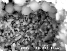 1% NaF solutions Table 1 lectrochemical migration lifetime and pitting potential statistics of Sn-3.Ag-.5Cu solder alloy Fig. 7 SEM image of Sn-3.Ag-.5Cu solder alloy anode pad after 1 mins and 2 mins of water drop test in.