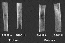 Fig. 13. Comparision of cell proliferations of PMMA and BBC II.