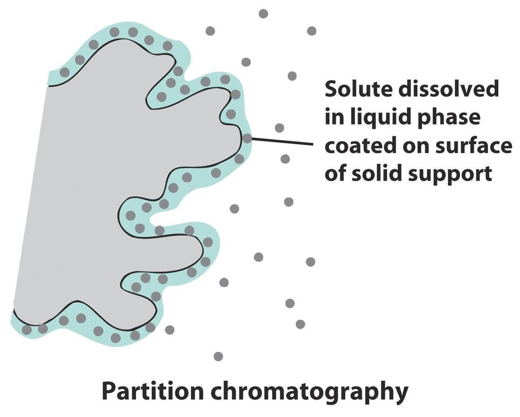 분배 (partition) 크로마토그래피
