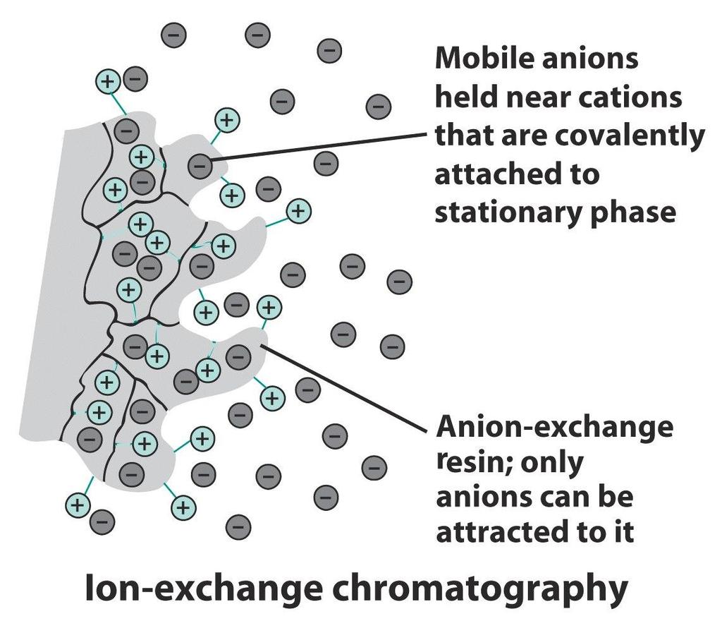 이온교환 (ion exchange) 크로마토그래피 수지 (resin) 에 SO 3 - 또는