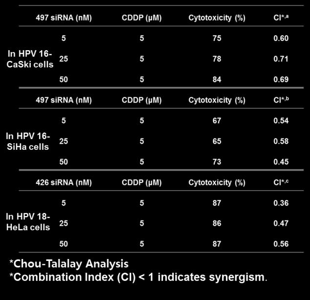 HPV18/16 type lead sirna - Int.J.