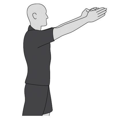 Referee and Assistant Referee Signals