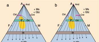 Cordierite forms between andalusite and chlorite along the Mg-rich side of the diagram via reaction (28-23) in the
