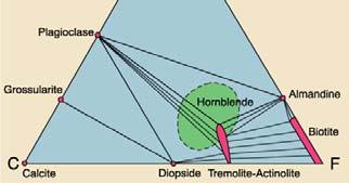 ACF diagram에서, 장석류를제외한다른 K-bearing metamorphic minerals만존재 장석에서 Al 2 O 3 : Na 2 O or K 2 O 비율 (automic ratio) 은 1:1, 따라서 1:1 비율만큼장석을형성한다가정하고빼주는것임. An example: The ACF Diagram Figure 24-4.