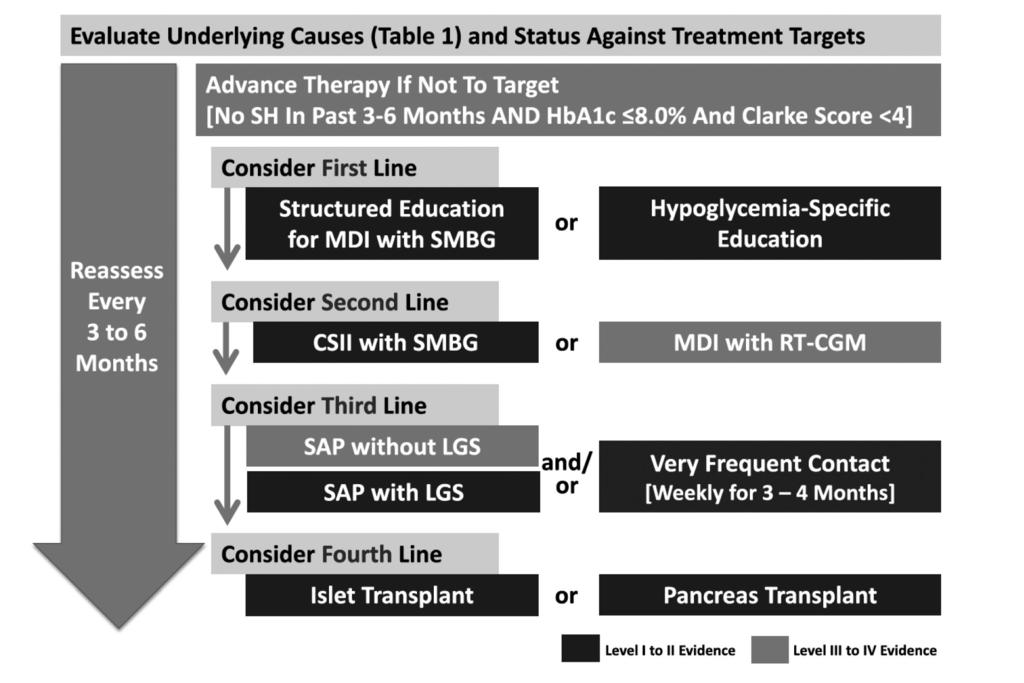 Fig. 1. Proposed treatment algorithm for patients with type 1 diabetes and problematic hypoglycemia. Data from the article of Choudhary et al.