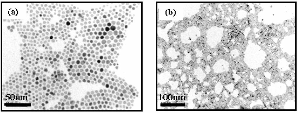 마이크로에멀젼법을 이용한 나노 CoFe O 분말의 실리카 코팅 Fig.. TEM images of 7 nm CoFe O nanoparticles deposited from hexane dispersion on amorphous carbon surface and dried at 70 C for h.