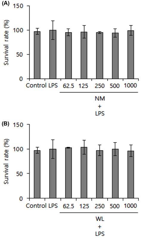 댕댕이나무열매추출물의항염증활성비교 237 Fig. 1 Cytotoxicity of NM and WL on RAW 264.7 cells. RAW 264.7 cells were treated with various concentrations (1000~ 62.