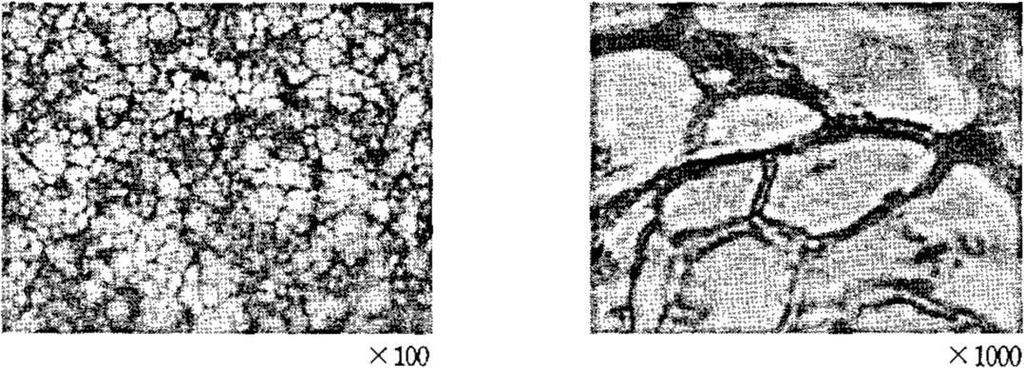 90 화장품소재시장분석및유망화장품소재개발전략수립 1. GLYCOFILM 의매트릭스형성능 슬레이트글래스위에서 100, 3 시간건조시킨 GLYCOFILM 을현미경으로관찰한 바, 균일한막을형성하는것이확인되었다 ( 사진 5). 사진 5 GLYCOFILM 의피막형성능 ( 현미경사진 ) 2.