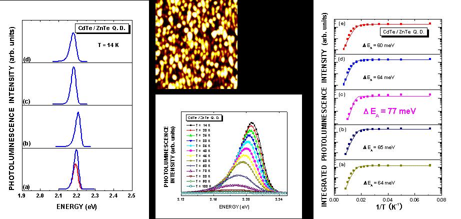 1 m Effect of Thermal Annealing on the Interband Transitions and Activation Energies of CdTe/ZnTe Quantum Dots Annealed at 300 330 AFM image of CdTe/ZnT e quantum dots 360 390 Photoluminescence