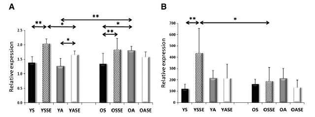 Effects of exercise on mitochondrial protein expression in human skeletal muscle In 24 subjects : young