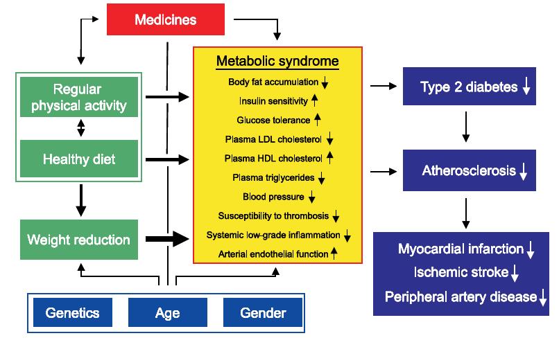 Physical activity in the etiology of the