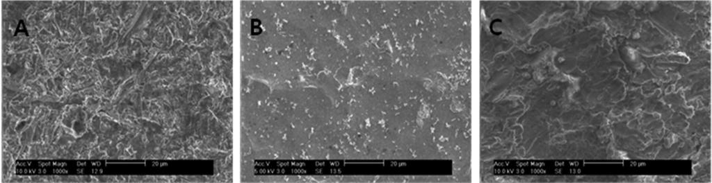 4. 시편의표면특성분석 1) 주사전자현미경주사전자현미경 (Field Emission Scanning Electron Microscopy; FE- SEM, S-47, Hitachi horiba, Japan) 을이용하여 5, 1, 배율에서티타늄표면의미세형상을관찰하였다.
