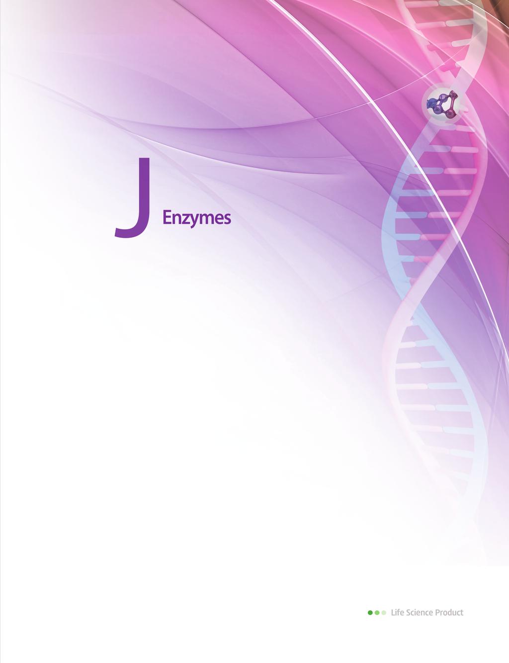 DNA Polymerase Reverse Transcriptase DNA Ligase Restriction Enzymes
