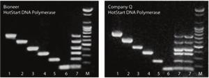 HotStart DNA Polymerase Storage Conditions 50 mm Tris-HCl, 0.1 mm EDTA, 1 mm DTT, stabilizers, 50% Glycerol, ph 8.