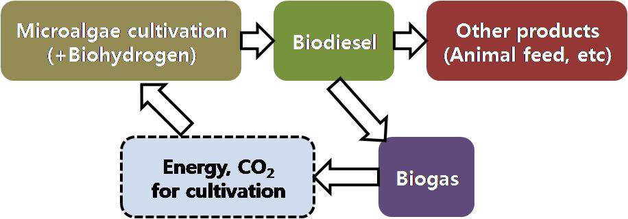 114 등을통해다양한조합의통합적인 biomass 의활용방안이각광을받을것임에틀림없다. Fig. 3. 가능한 biorefinery 구상도. 요약 바이오디젤은석유기반의액체연료를대체할수있는재생가능한대체에너지로서, 특히수송연료에있어경유를대신하여일부사용되어있고수요는계속증가할것으로보인다.