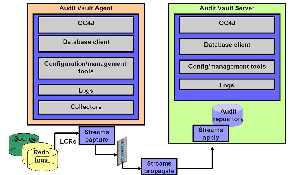 Oracle Audit