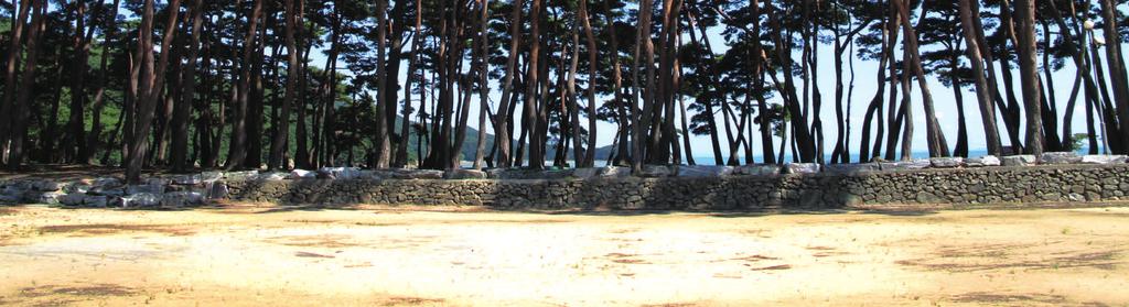 10 2015년 8월 10일 (월간) 제 65호 Du lịch 여행 Du lịch nghỉ dưỡng với món quà của thiên nhiên 바다와 산이 선물하는 힐링 여행 Đảo Deokjoek 덕적도 Ánh nắng rạng rỡ như đang thu hút mọi người đến với thiên nhiên.