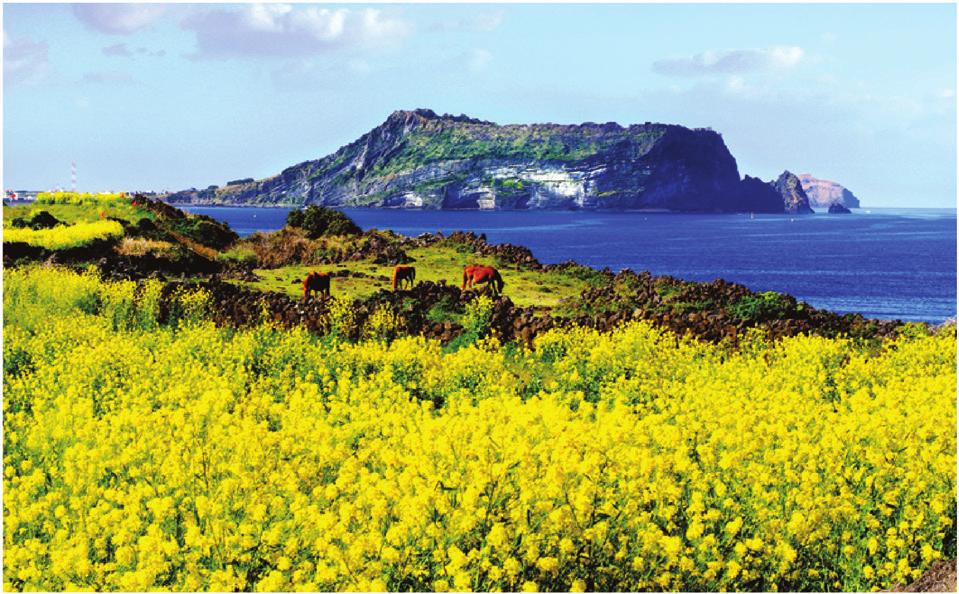 UNESCO Triple Crown Jeju 유네스코 3 관왕제주생물권보전지역, 세계자연유산, 세계지질공원으로지정된제주도 UNESCO 가인증하는 3 관왕을달성한지역으로전세계인이함께가꾸고보전해야할환경자산의보물섬입니다.