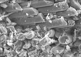 SEM micrographs of fracture surfaces of PR/GF composite sheet samples with various E-glass fiber