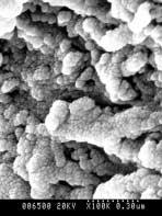 SEM micrograph of the demineralized dentin (