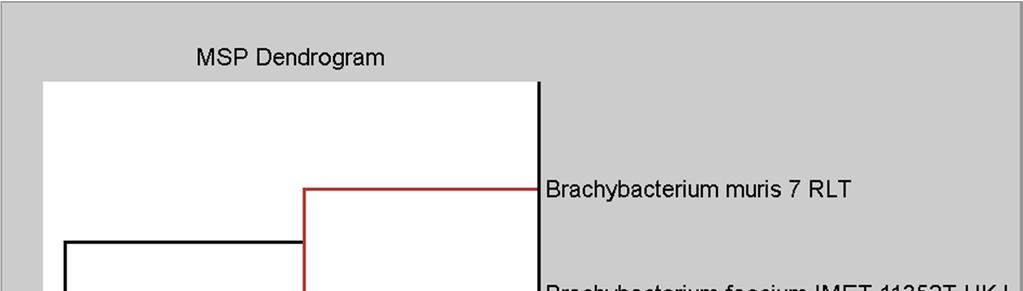 Identification of Unidentified Pathogens 209 Figure 6. Dendrogram based on major spectrum profile of Dermabacteraceae. Table 3.