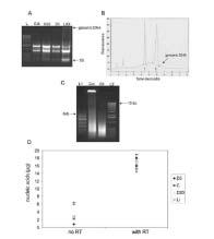 cdna purification affects transcript representation Guanidinium-phenol extraction is the optimal method to